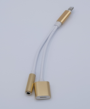 2 in 1 kabel voor audio & opladen - voor iPhone 7 / 8/ X - Goud